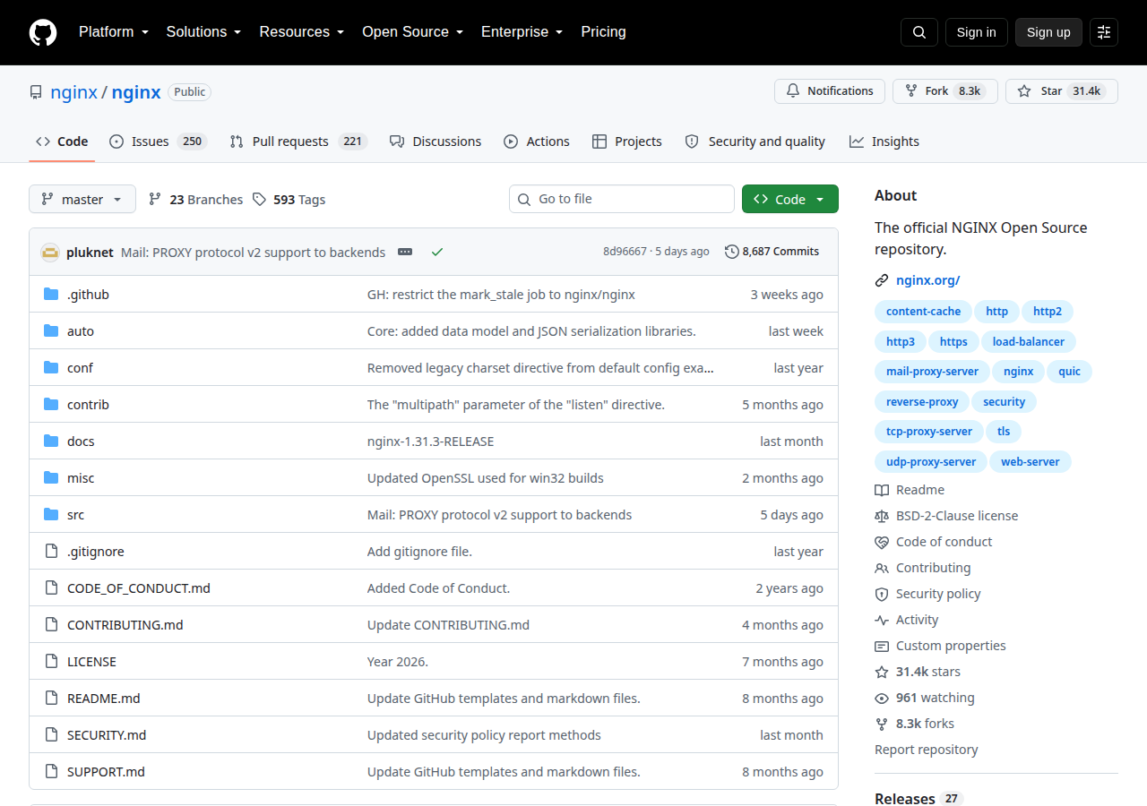 Skärmdump av NGINX
