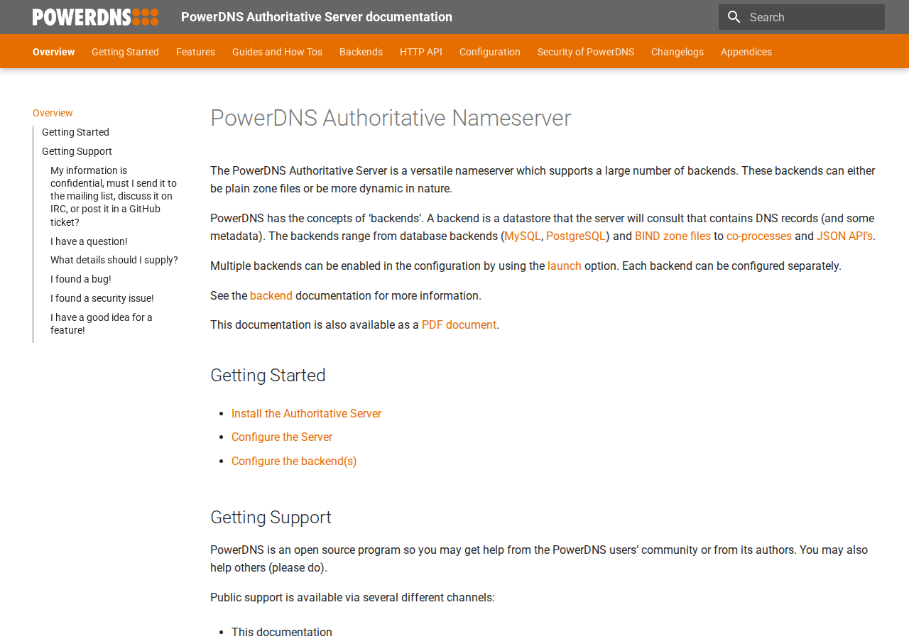 Skärmdump av PowerDNS Authoritative Server