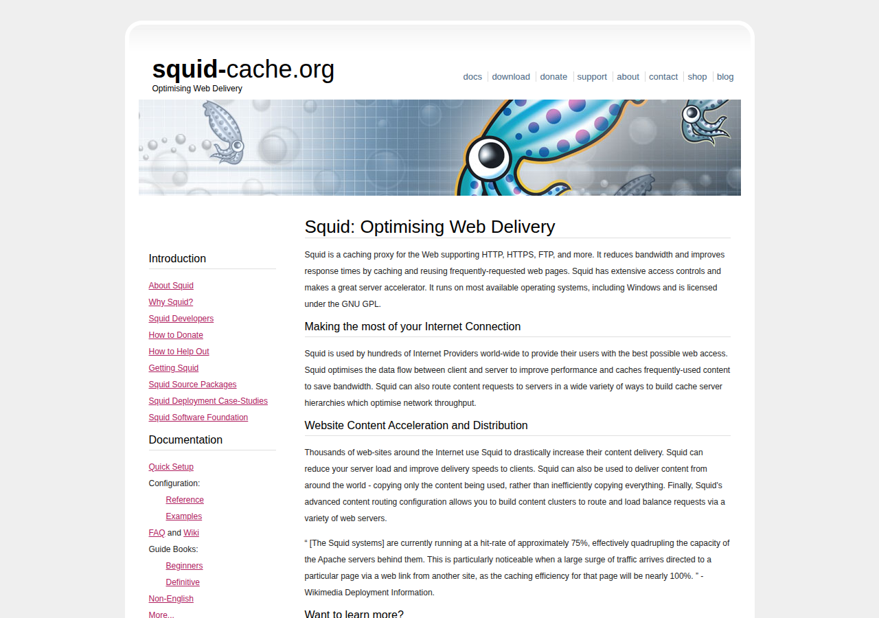 Skärmdump av Squid