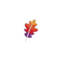 Apache HTTP Server logo