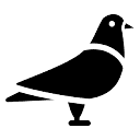 Dovel logo