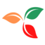 Trilium.cc logo
